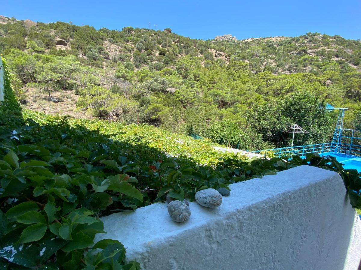 Oleander'S Garden Traditional Cretan Cottage Ferma Bagian luar foto
