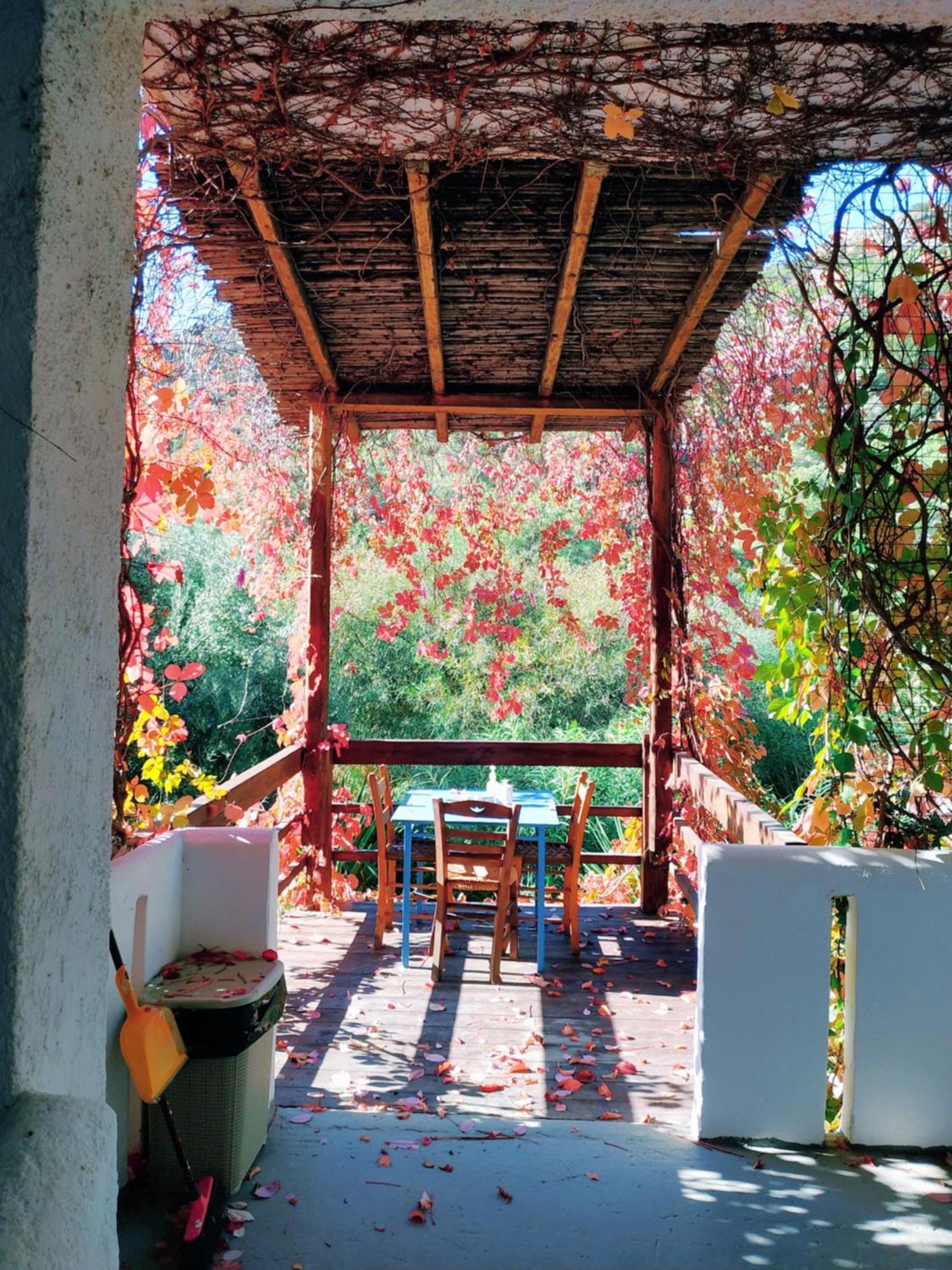 Oleander'S Garden Traditional Cretan Cottage Ferma Bagian luar foto