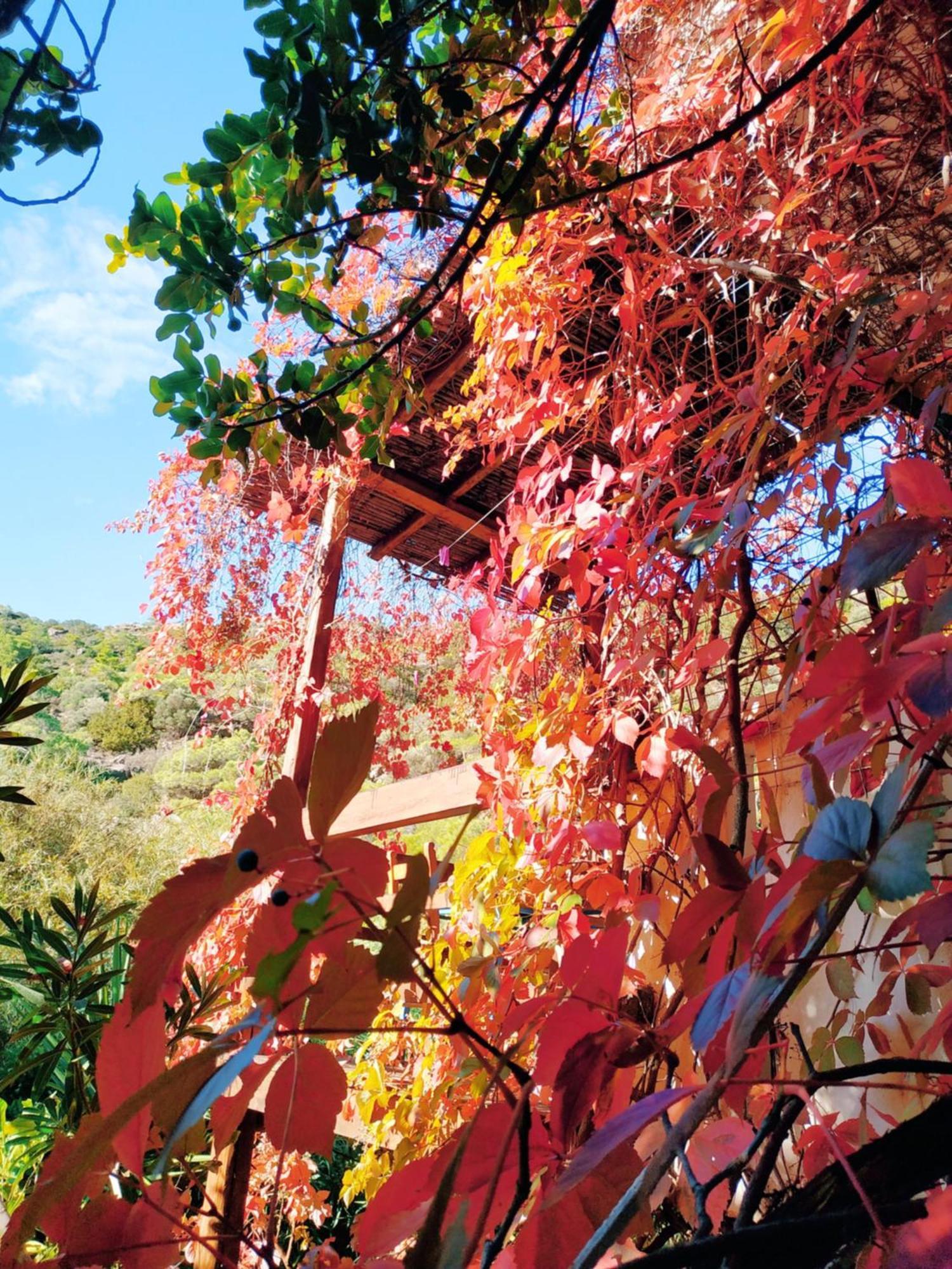 Oleander'S Garden Traditional Cretan Cottage Ferma Bagian luar foto