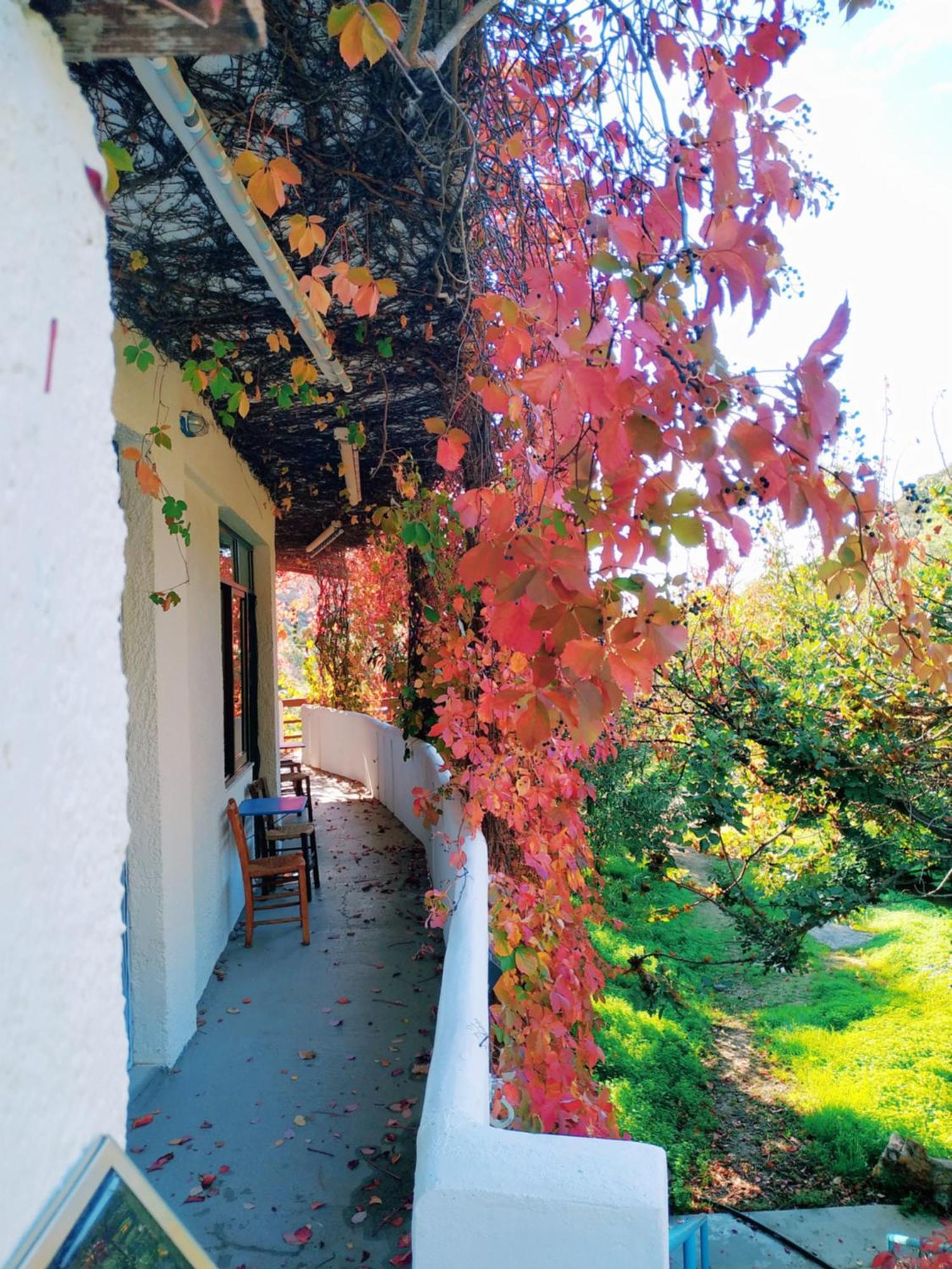 Oleander'S Garden Traditional Cretan Cottage Ferma Bagian luar foto