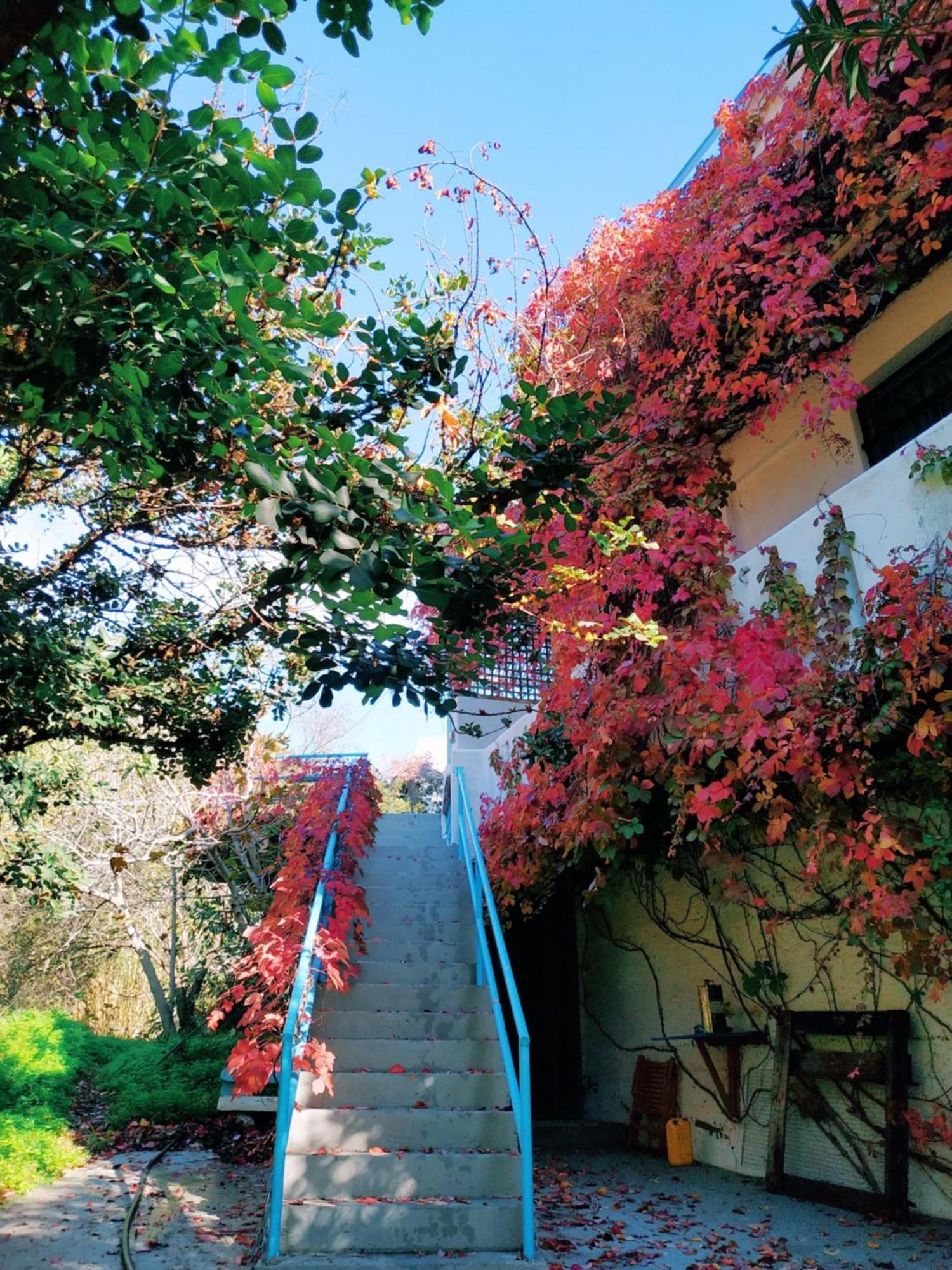 Oleander'S Garden Traditional Cretan Cottage Ferma Bagian luar foto