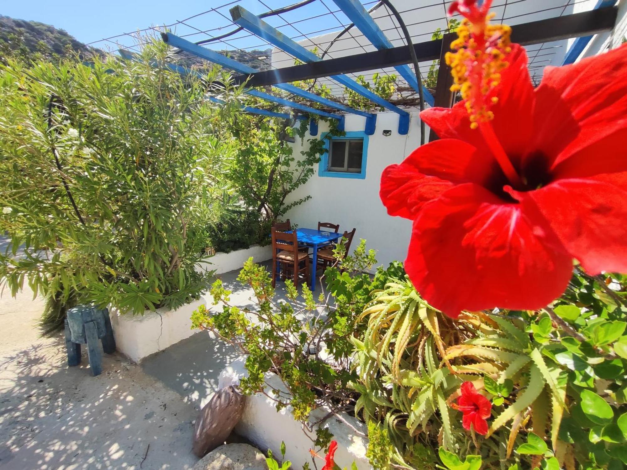 Oleander'S Garden Traditional Cretan Cottage Ferma Bagian luar foto