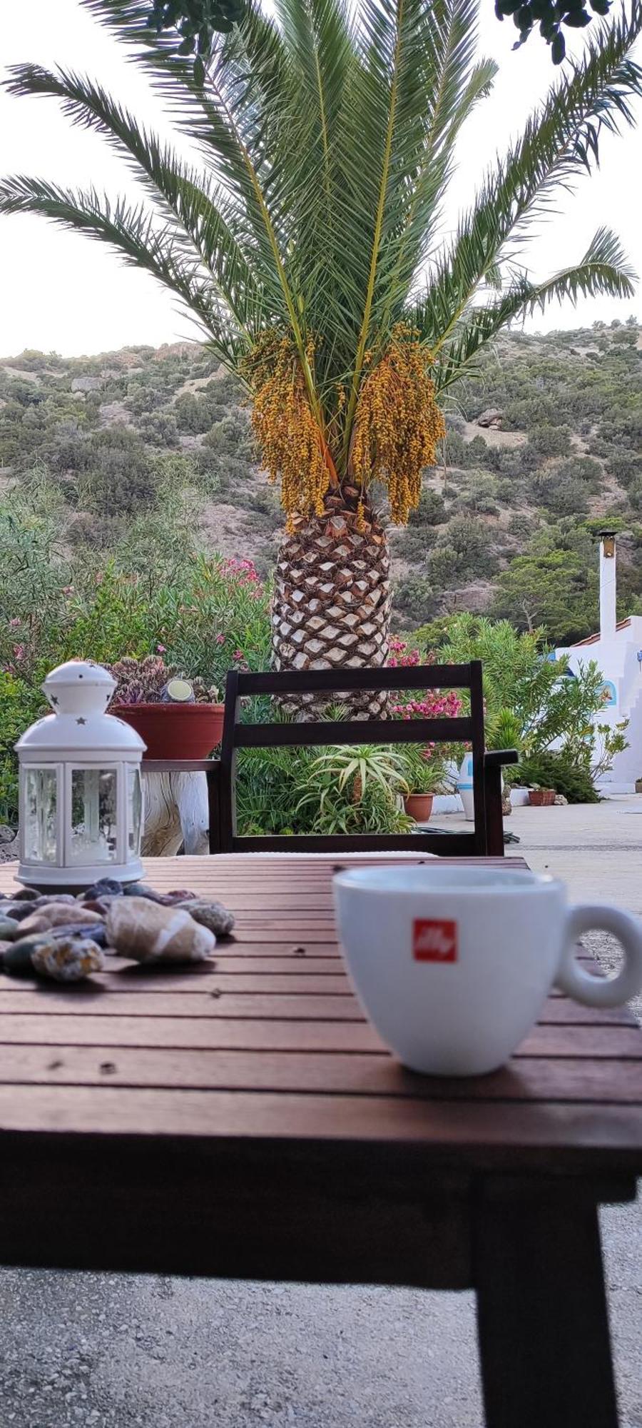 Oleander'S Garden Traditional Cretan Cottage Ferma Bagian luar foto